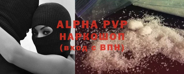 индика Новодвинск