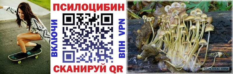 Галлюциногенные грибы мухоморы Пересвет
